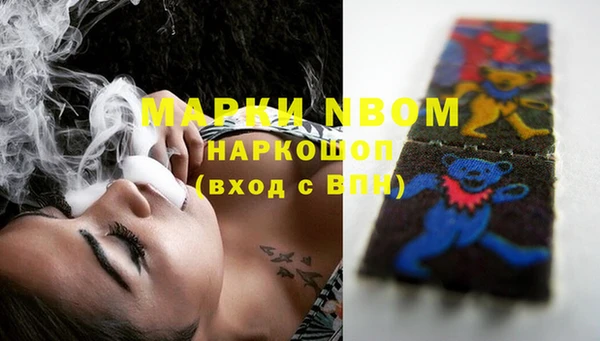 ГАЛЛЮЦИНОГЕННЫЕ ГРИБЫ Аркадак